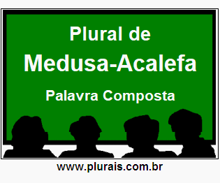Plural de Medusa-Acalefa