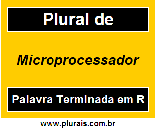 Plural de Microprocessador