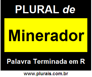 Plural de Minerador