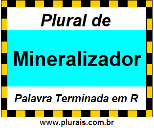 Plural de Mineralizador