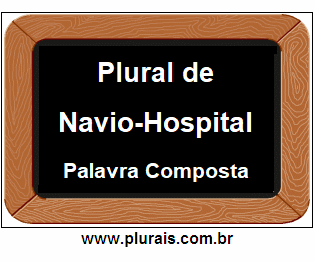Plural de Navio-Hospital