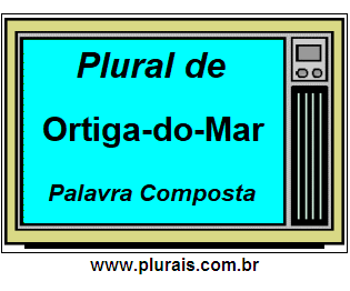 Plural de Ortiga-do-Mar
