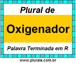 Plural de Oxigenador