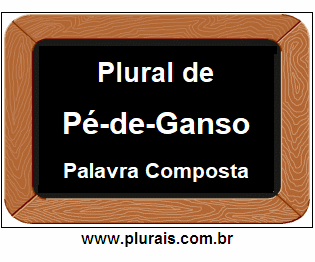 Plural de Pé-de-Ganso