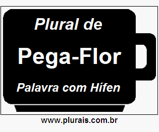 Plural de Pega-Flor