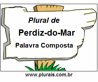 Plural de Perdiz-do-Mar