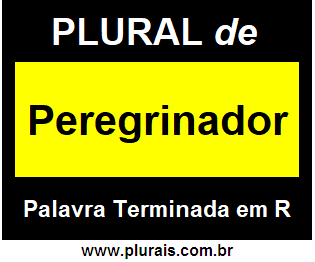 Plural de Peregrinador