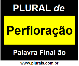 Plural de Perfloração