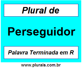 Plural de Perseguidor