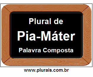 Plural de Pia-Máter