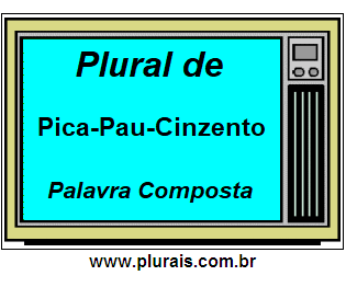 Plural de Pica-Pau-Cinzento