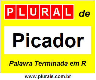 Plural de Picador