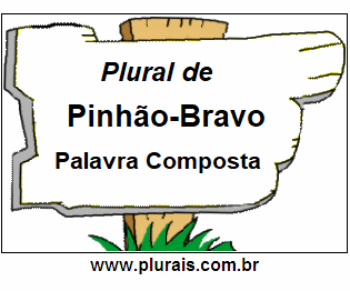 Plural de Pinhão-Bravo