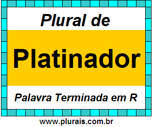 Plural de Platinador