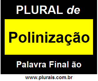 Plural de Polinização