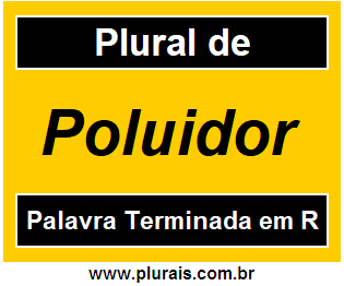 Plural de Poluidor