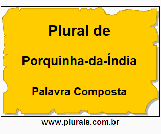 Plural de Porquinha-da-Índia