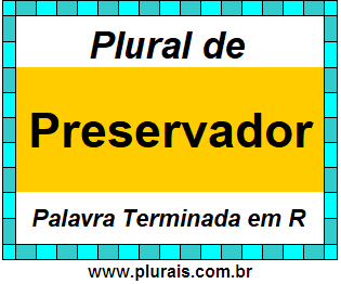 Plural de Preservador