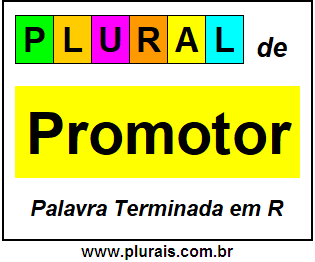 Plural de Promotor