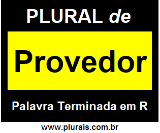 Plural de Provedor