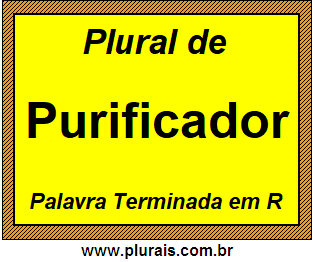 Plural de Purificador