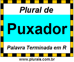 Plural de Puxador