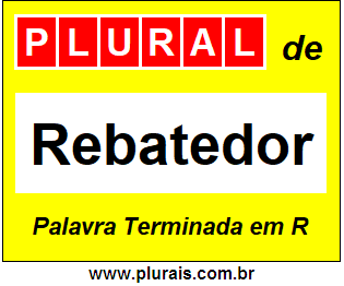 Plural de Rebatedor