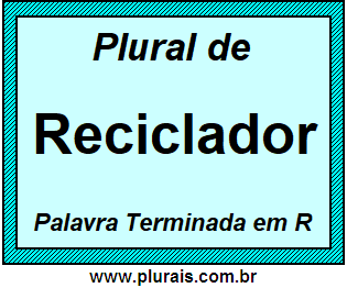 Plural de Reciclador