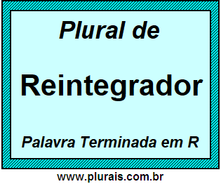 Plural de Reintegrador