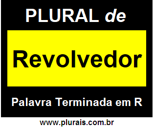 Plural de Revolvedor