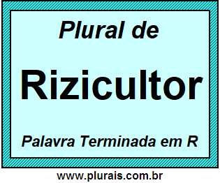 Plural de Rizicultor