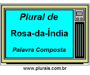 Plural de Rosa-da-Índia