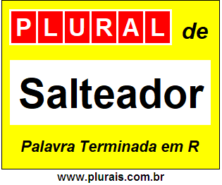 Plural de Salteador