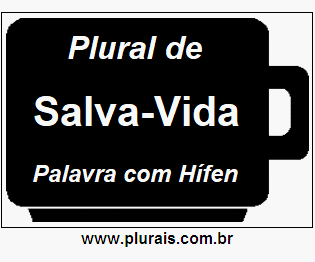 Plural de Salva-Vida