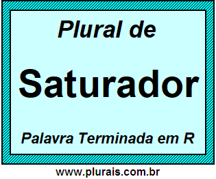 Plural de Saturador