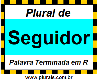 Plural de Seguidor