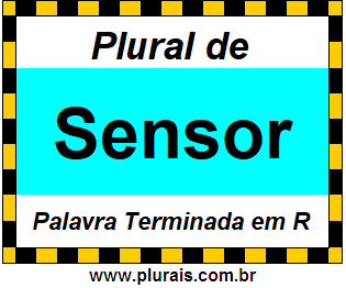 Plural de Sensor