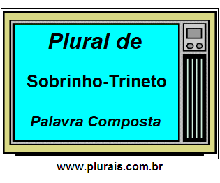 Plural de Sobrinho-Trineto