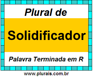 Plural de Solidificador