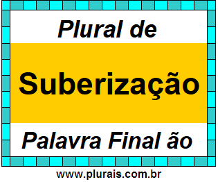 Plural de Suberização