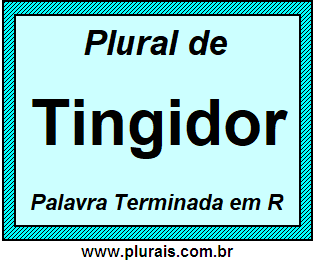 Plural de Tingidor