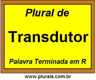 Plural de Transdutor