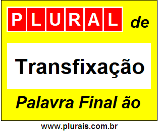 Plural de Transfixação