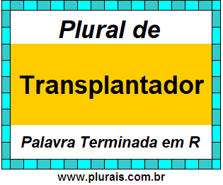 Plural de Transplantador