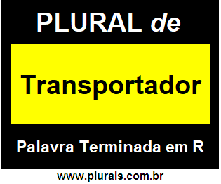 Plural de Transportador