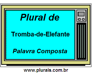 Plural de Tromba-de-Elefante