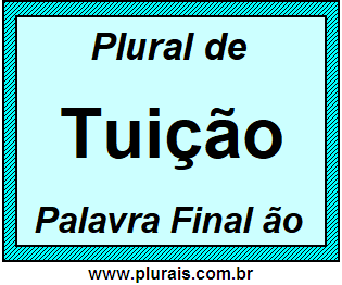 Plural de Tuição