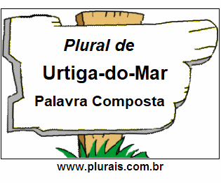 Plural de Urtiga-do-Mar