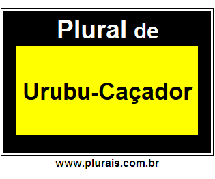 Plural de Urubu-Caçador