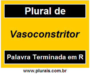 Plural de Vasoconstritor